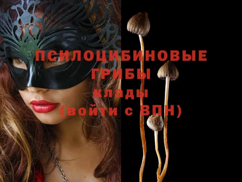 Псилоцибиновые грибы MAGIC MUSHROOMS  сайты даркнета официальный сайт  Емва 